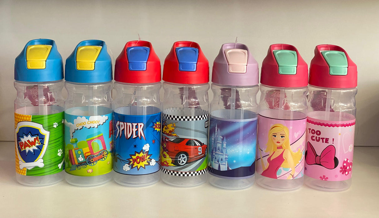Disney Water Bottle 600ML