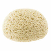 CHICCO Extra-Absorbent Sponge OM+