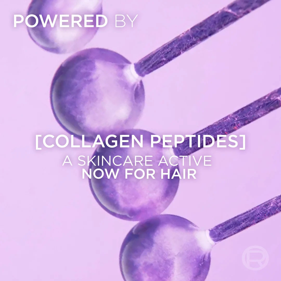 Loreal Elvive Collagen Peptides Lifter 72h For Thin Flat Hair Volumizing Shampoo