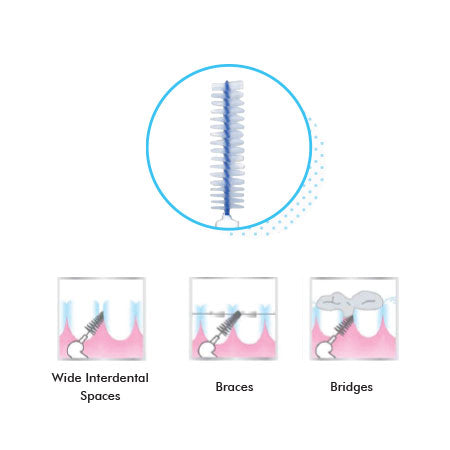 Cleodent Flexible Interdental Brushes