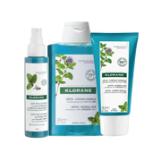 KLORANE SHAMPOO MENTHE 200ML+KLORANE BAUME MENTHE 150ML+ KLORANE SPRAY ANTI-POLLUTION BRUME PURIFIANTE 100ML
