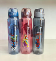 Disney Water Bottle large